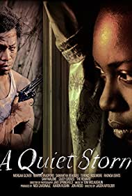 A Quiet Storm (2016)